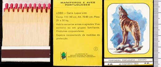 Mamiferos e Aves Portugueses 02