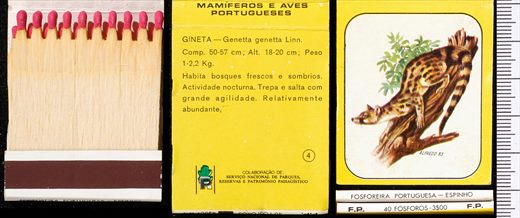 Mamiferos e Aves Portugueses 04