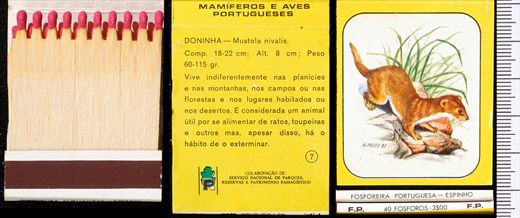 Mamiferos e Aves Portugueses 07