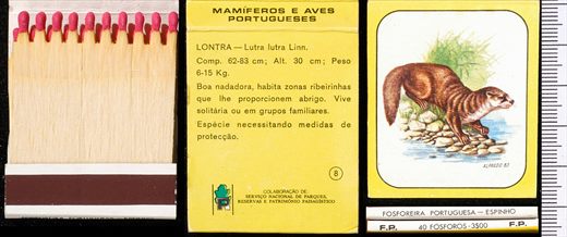Mamiferos e Aves Portugueses 08