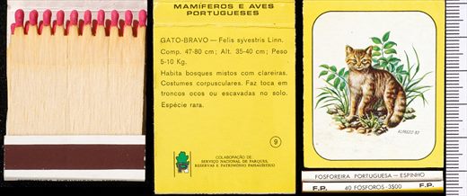 Mamiferos e Aves Portugueses 09