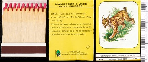 Mamiferos e Aves Portugueses 10