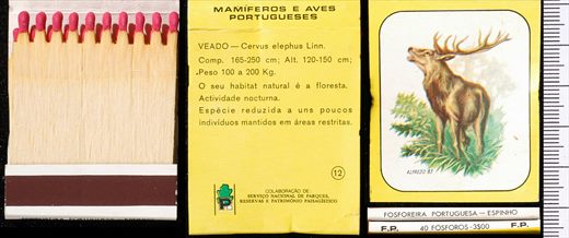 Mamiferos e Aves Portugueses 12