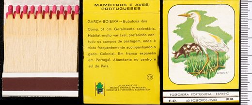 Mamiferos e Aves Portugueses 13