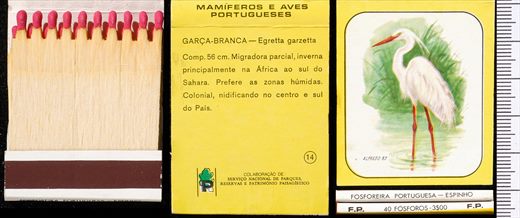 Mamiferos e Aves Portugueses 14