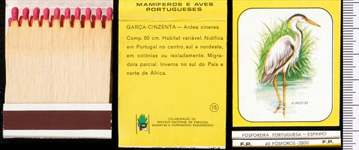 Mamiferos e Aves Portugueses 15