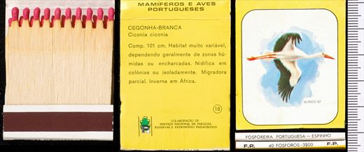 Mamiferos e Aves Portugueses 16