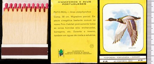 Mamiferos e Aves Portugueses 17