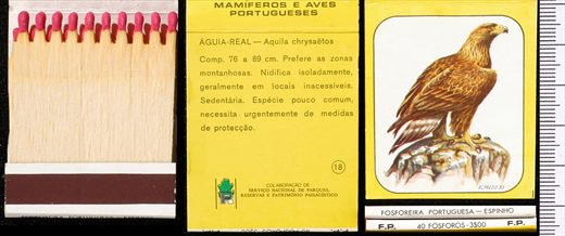 Mamiferos e Aves Portugueses 18