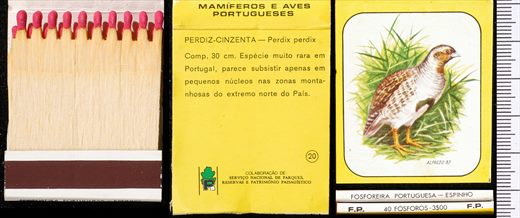 Mamiferos e Aves Portugueses 20