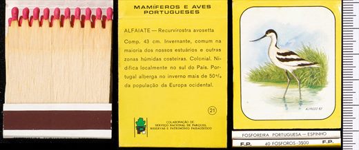Mamiferos e Aves Portugueses 21