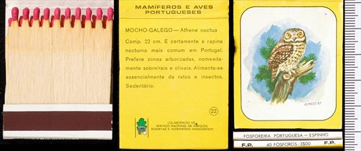 Mamiferos e Aves Portugueses 22
