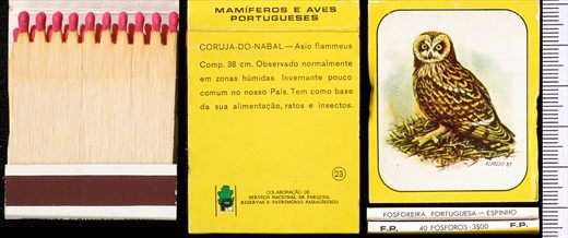 Mamiferos e Aves Portugueses 23