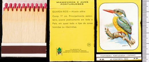 Mamiferos e Aves Portugueses 24