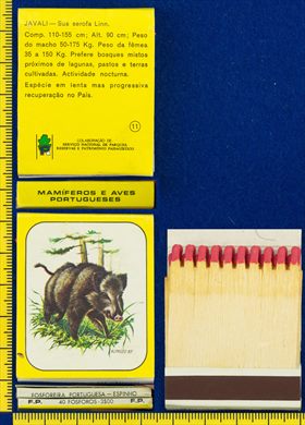 Mamiferos e Aves Portuguesas 11 (FP-Espinho)