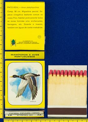 Mamiferos e Aves Portuguesas 17 (FP-Espinho)