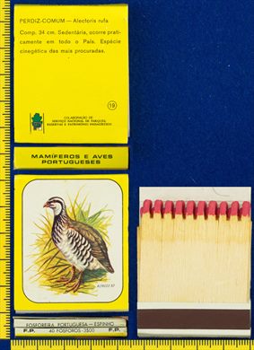Mamiferos e Aves Portuguesas 19 (FP-Espinho)