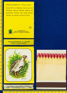 Mamiferos e Aves Portuguesas 20 (FP-Espinho)