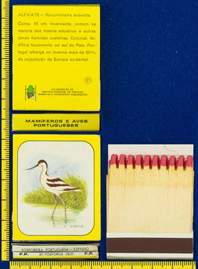 Mamiferos e Aves Portuguesas 21 (FP-Espinho)