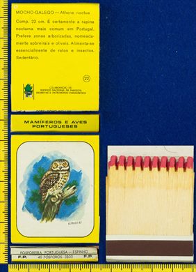 Mamiferos e Aves Portuguesas 22 (FP-Espinho)