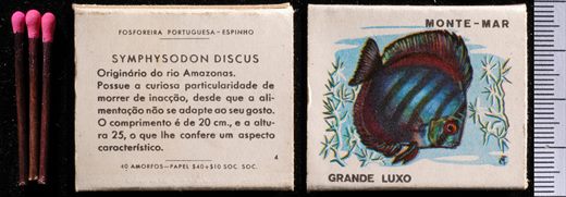 Peixes - Monte-mar (FP-Espinho) 04