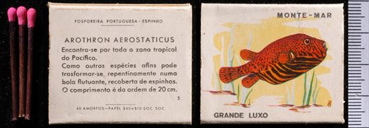 Peixes - Monte-mar (FP-Espinho) 05