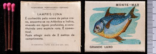 Peixes - Monte-mar (FP-Espinho) 07