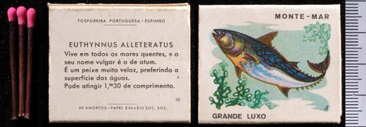 Peixes - Monte-mar (FP-Espinho) 10