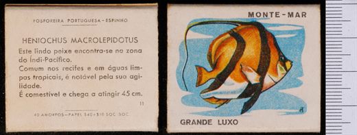 Peixes - Monte-mar (FP-Espinho) 11