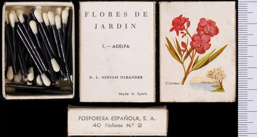 Flores de Jardin (FESA) 01