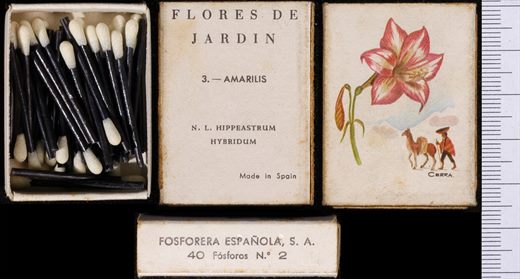 Flores de Jardin (FESA) 03
