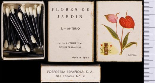 Flores de Jardin (FESA) 05