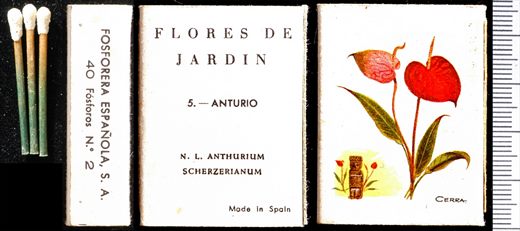 Flores de Jardin (FESA) 05 1