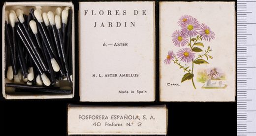 Flores de Jardin (FESA) 06