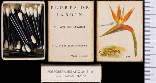 Flores de Jardin (FESA) 07