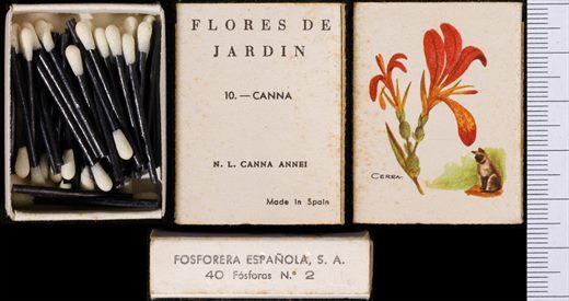 Flores de Jardin (FESA) 10