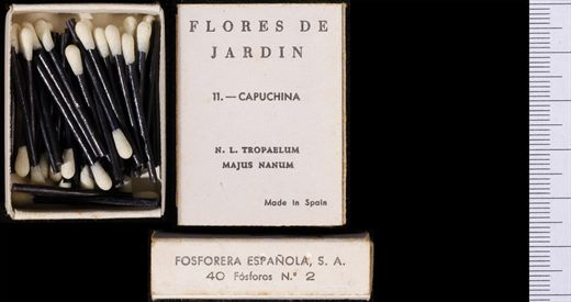 Flores de Jardin (FESA) 11