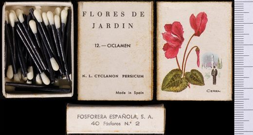 Flores de Jardin (FESA) 12