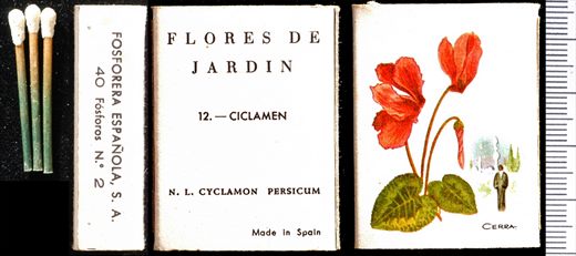 Flores de Jardin (FESA) 12 1
