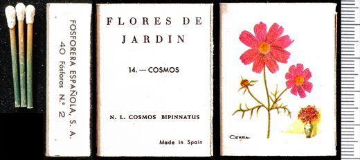 Flores de Jardin (FESA) 14