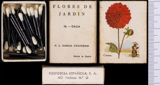 Flores de Jardin (FESA) 16