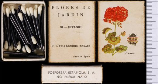 Flores de Jardin (FESA) 18