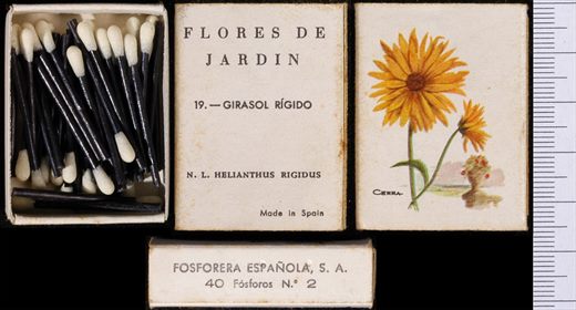 Flores de Jardin (FESA) 19