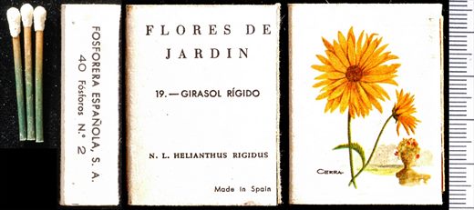 Flores de Jardin (FESA) 19 1