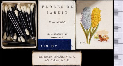 Flores de Jardin (FESA) 21