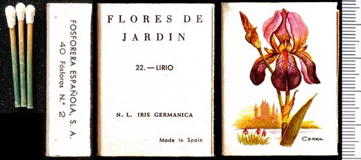 Flores de Jardin (FESA) 22 1