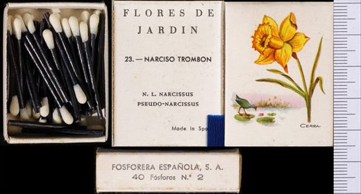 Flores de Jardin (FESA) 23