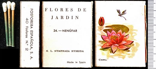 Flores de Jardin (FESA) 24 1
