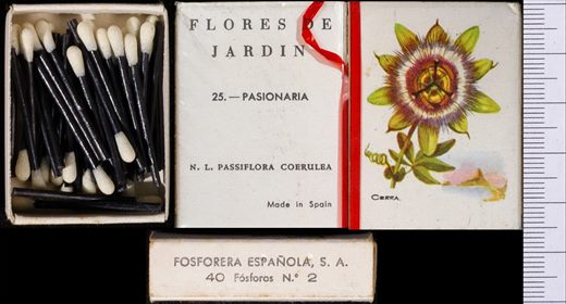 Flores de Jardin (FESA) 25