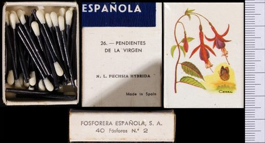 Flores de Jardin (FESA) 26